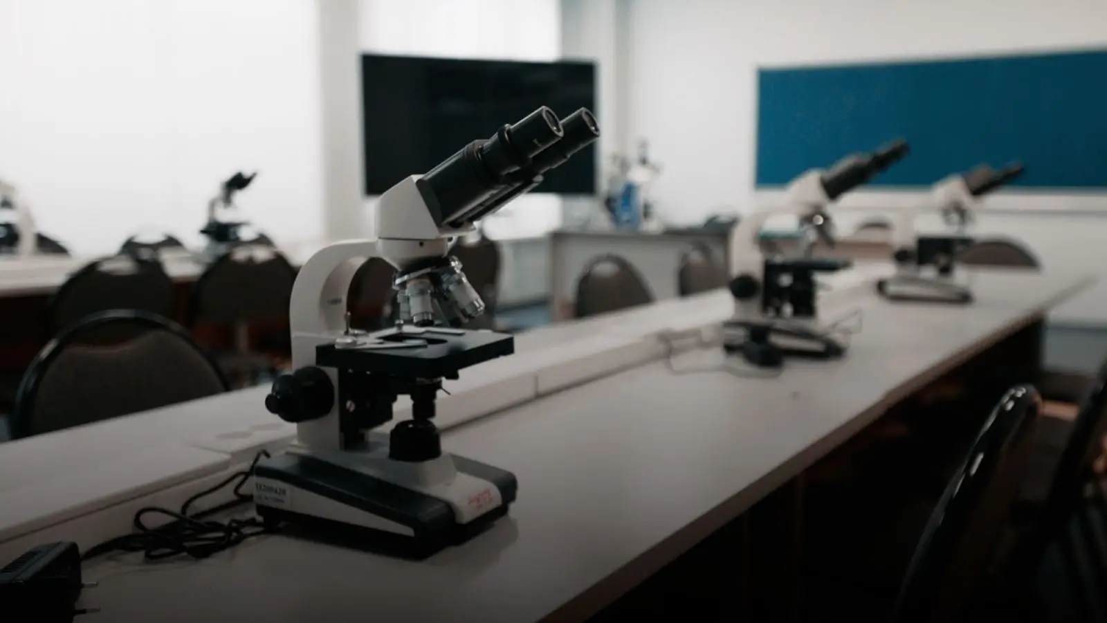 file - 2026-04-25T160541.520.webp